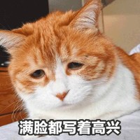 猫咪 满脸都写着高兴 表情包 搞笑 沮丧