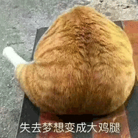 猫 失去 梦想 大鸡腿