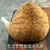 猫 失去 梦想 大鸡腿