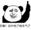 暴漫 熊猫头 你看说中他了他生气了 可爱 搞笑 逗