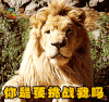 你是要挑战我吗 狮子 生气soogif soogif出品