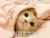 喵星人 可爱 小猫 萌呆 一起睡觉觉嘛 讯飞