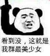 暴漫 文字表情包 看到没这就是我群最美少女 搞笑 沙雕 魔性