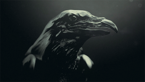 设计 艺术 黑暗、超现实 3d动画 鹰