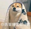 萌宠 汪星人 你先管好你自己吧 嫌弃 搞怪 逗