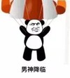 熊猫头 男神降临 降落伞 斗图 搞笑 猥琐