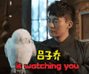 搞怪 爱情公寓 吕子乔 watching you
