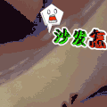 汪星人 狗狗 可爱 萌宠 狗