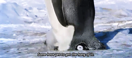 企鹅 penguin 寒冷 躲藏