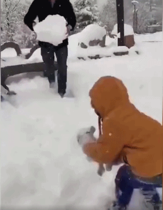 冬天 玩雪 父子俩 玩耍
