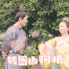柜中美人 转圈撒狗粮 胡冰卿 soogif soogif出品