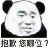 熊猫头 文字表情包 抱歉您哪位 搞笑 沙雕 搞怪