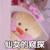仙女 窥探 搞笑 可爱
