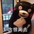 熊本熊 公交车 可爱 含恨离去