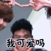 偶像练习生 jeffrey 我可爱吗 soogif soogif出品