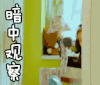 暗中观察 张婉儿 我们的少年时代