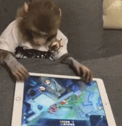 小猴子 智商高 游戏 可爱
