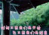 清明节 时间不因我们而开始 也不因我们而结束