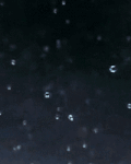 下雨天 下落 野外 清新 雨点