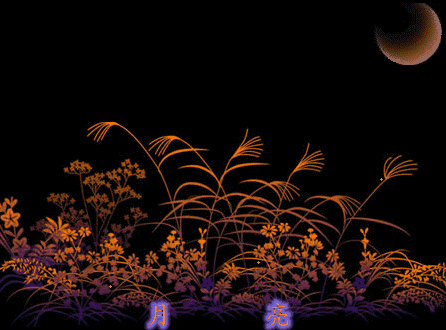 月亮 夜晚 风景 植物
