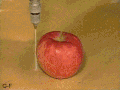 苹果 apple food 切割