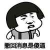 撤回消息是傻逼 金馆长 搞笑 白人 撤回