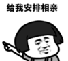 暴漫 文字表情包 给我安排相亲 搞笑 逗 沙雕