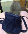 猫咪 喵星人 搞笑 可爱 淘气