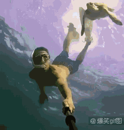 海龟 潜水 萌 自拍 海底 震撼