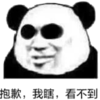 熊猫头 搞笑 呆萌 斗图 抱歉 我瞎 看不到