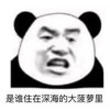 熊猫头 文字表情包 是谁在深海的大菠萝里 搞笑 逗 沙雕