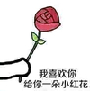 玫瑰 送你一朵花 恶搞 我喜欢你给你一朵小红花