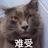 难受 伤心 猫咪 难受