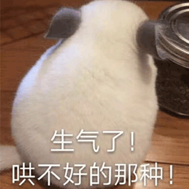 動物 生氣 生氣了 哄不好的那種