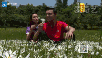陈伟霆 马苏 花海