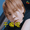 soogif soogif出品 winner 干嘛呢