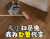 巨蟹座 星座 十二星座 灰尘扫尽绝 我为巨蟹代言 soogif soogif出品
