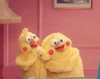 鹦鹉兄弟 红脸蛋 拥抱 黄色 亲亲