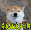 给我5毛我陪你聊 狗子 柴犬