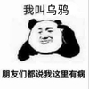 熊猫头 我叫乌鸦 这里有病 斗图 搞笑