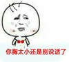 胸太小 别说话 搞怪 你胸太小还是别说话了