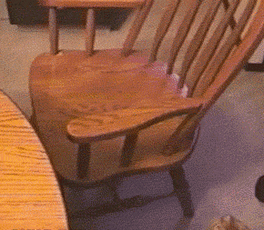 猫咪 真会玩 椅子 可爱