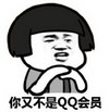 你又不是QQ会员   托腮   鄙视  金馆长