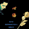 心语  文艺  玫瑰  感触