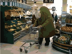 骆驼 棉衣 超市 搞笑