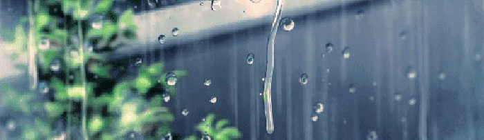 玻璃 下雨 绿叶 透明