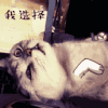 线条 红色 知网 漂亮