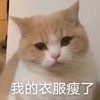 萌宠 喵星人 我的衣服瘦了 难受 呆萌 搞怪
