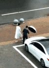国外 给狗打伞 超有爱 搞笑