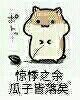 卖萌 可爱 松鼠与瓜子 惊悸之余瓜子皆落矣